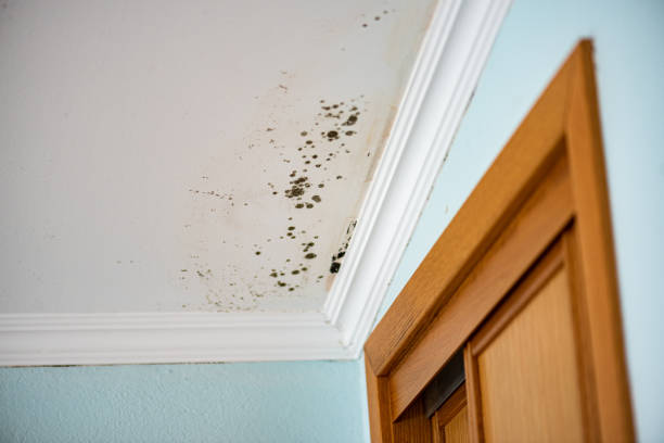 Water Damage Restoration in Tashua, CT