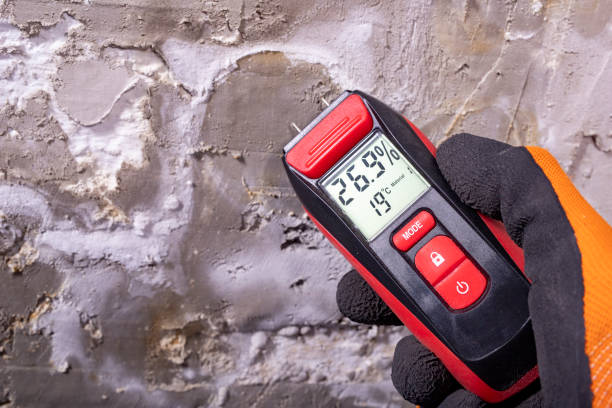 Mold Testing and Removal in Tashua, CT