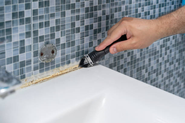 Best Mold Remediation Services  in Tashua, CT